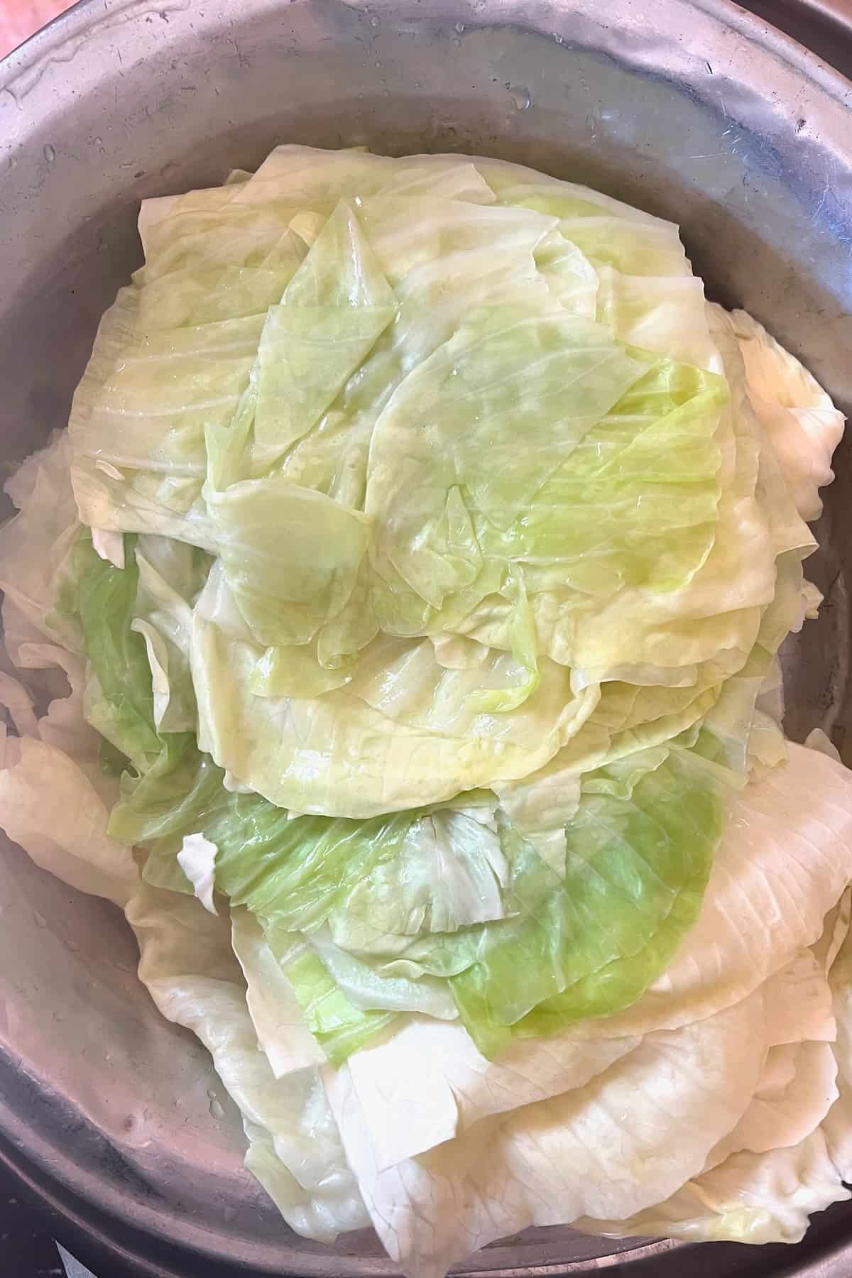 Separated cabbage leaves
