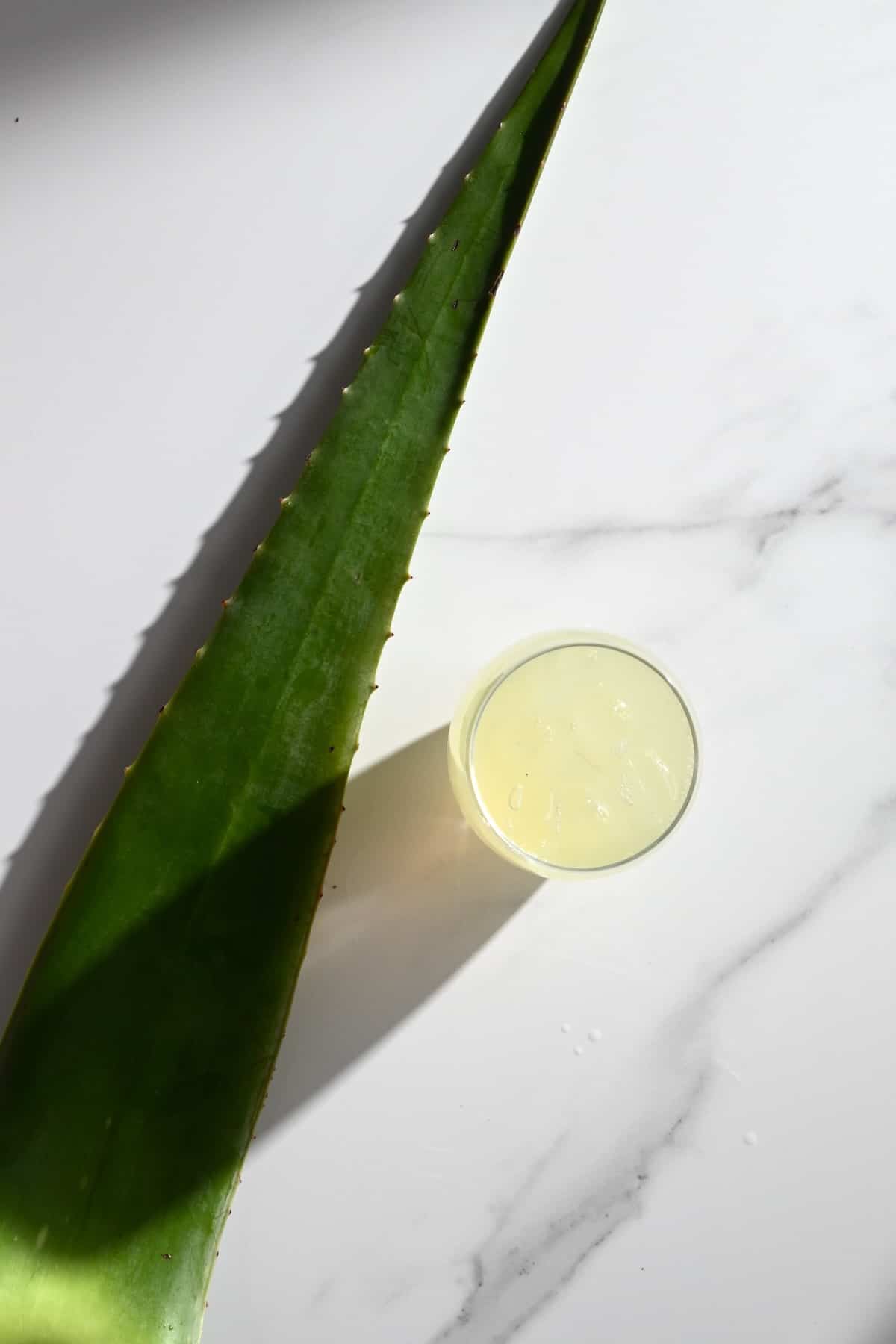 A glass with aloe vera juice and aloe vera leaf next to it