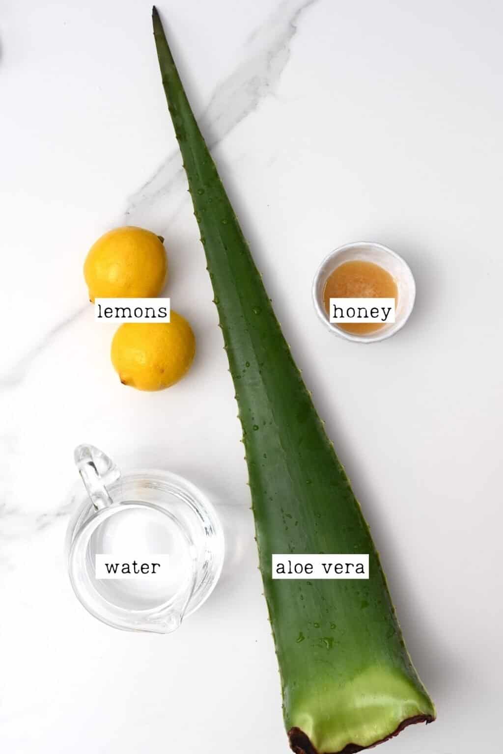 How To Make Aloe Vera Juice Alphafoodie