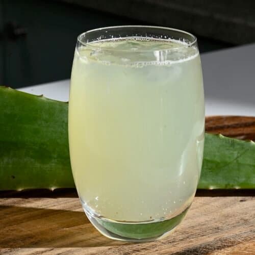 aloe vera gegen schwellungen Tipps zur Pflege deiner Pflanze : Aloe Vera – PflanzenFuerAlle main image 0