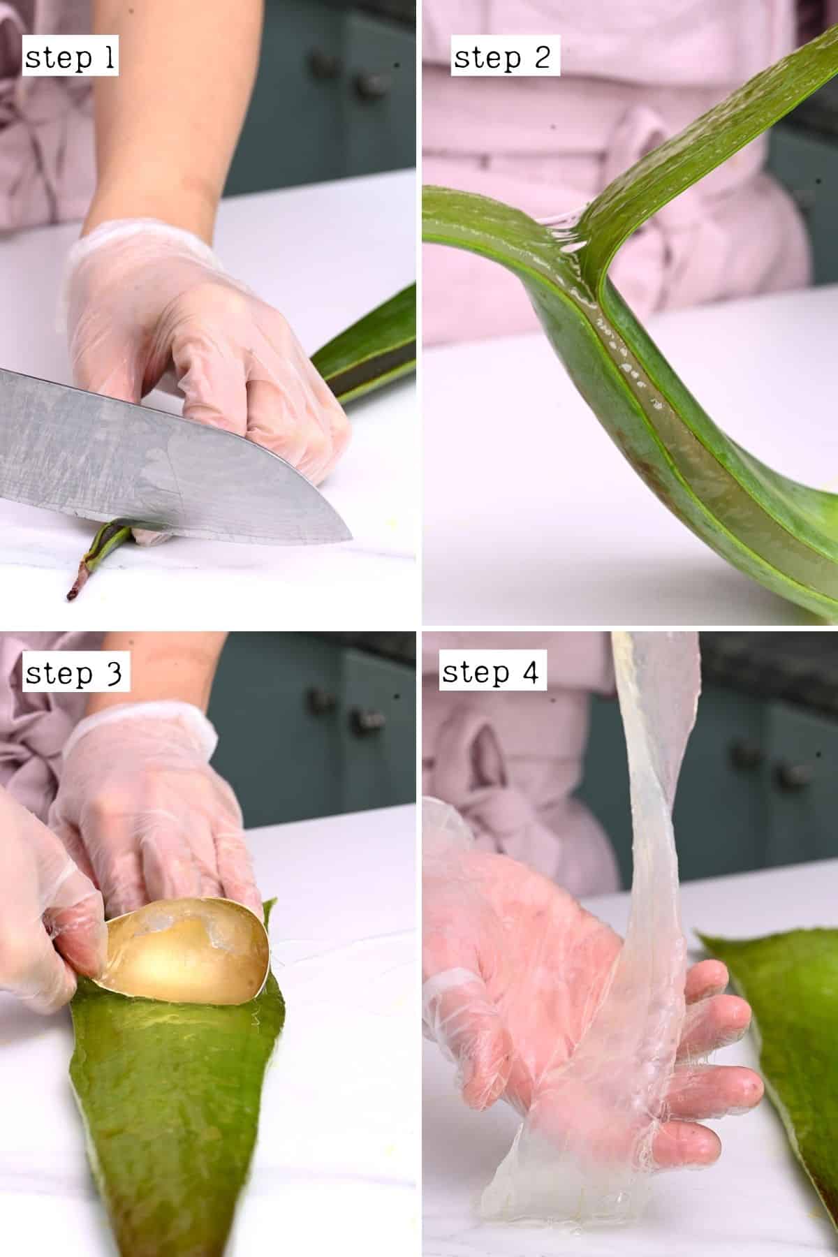 Steps for removing aloe vera gel from the leaf