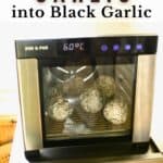 How to Make Black Garlic (+ What is it | FAQs | Uses)