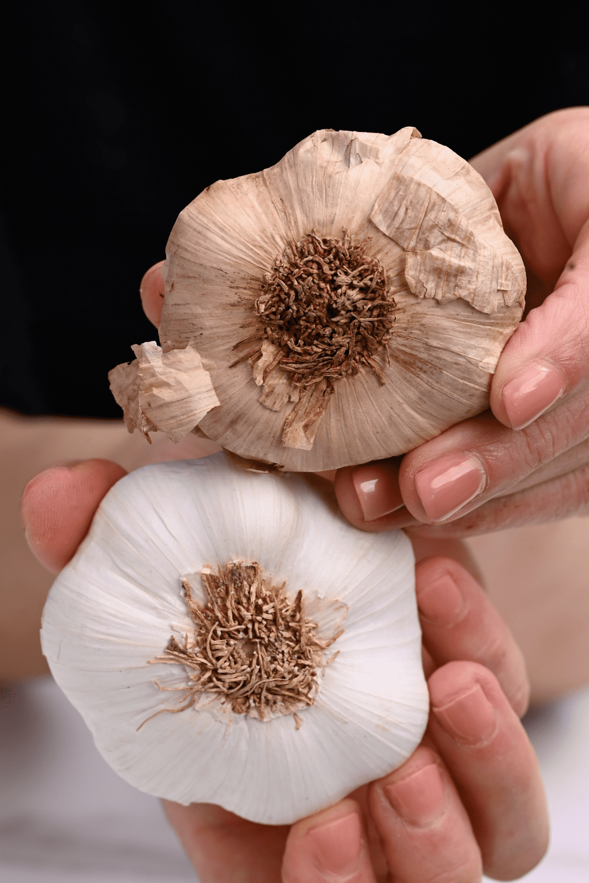 A head of black garlic and a head of white garlic