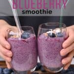 The Best Blueberry Smoothie
