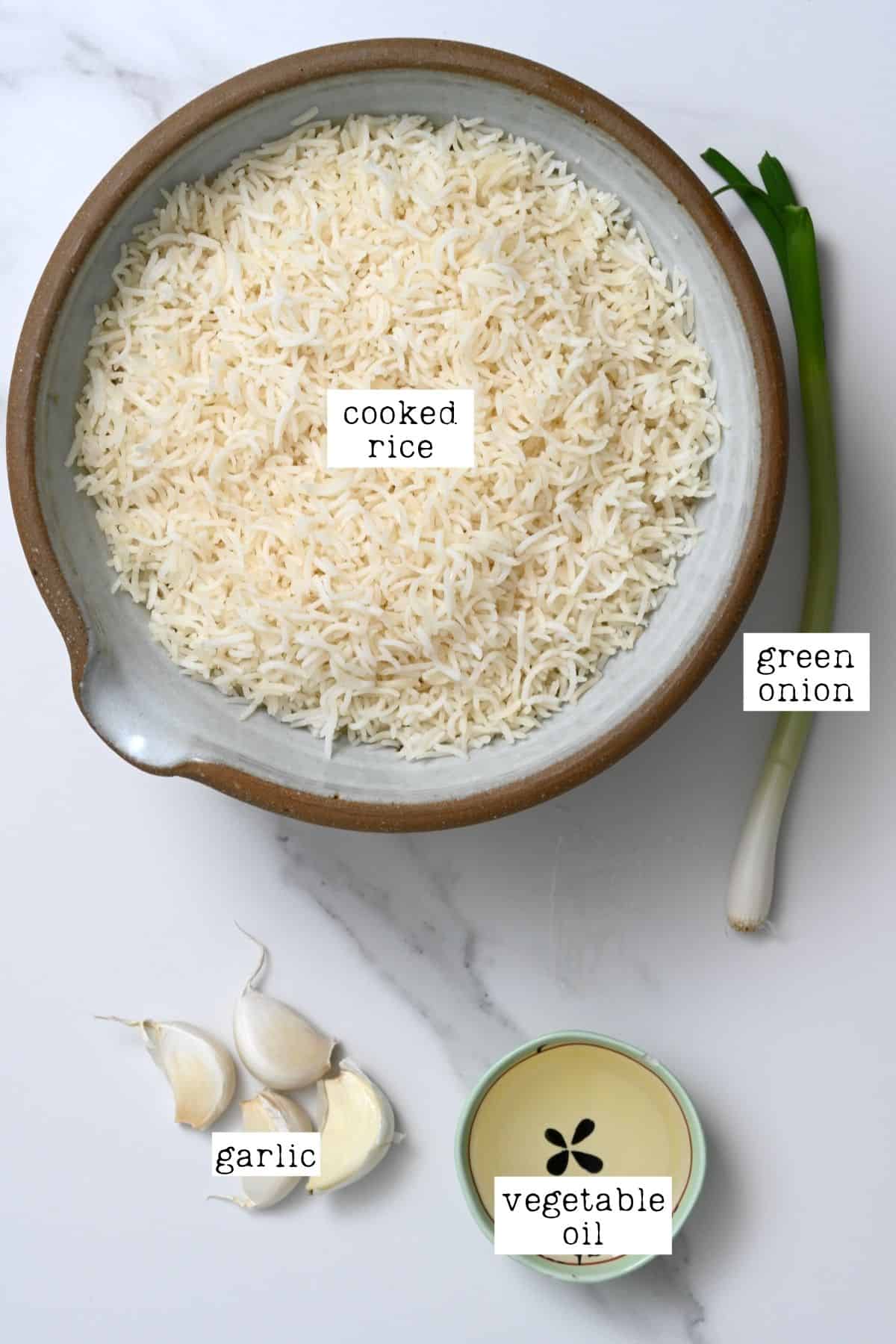 ngredients for garlic rice