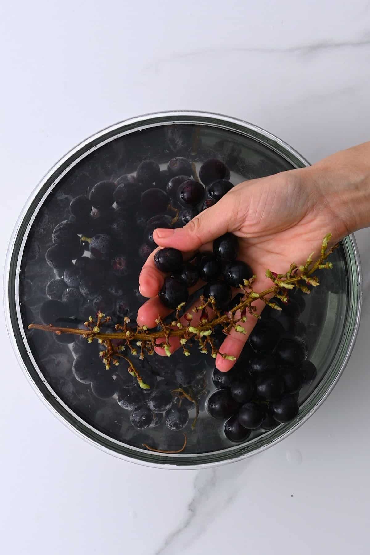 Rinsing grapes in a bowl with water