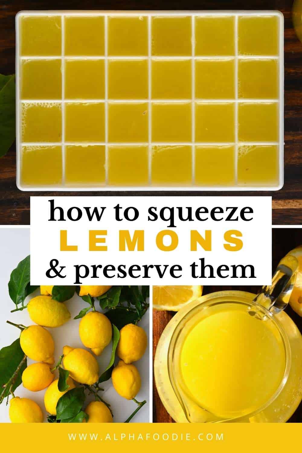 How to Juice a Lemon (6 Methods With + Without Juicer + Freeze it