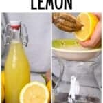 How to Juice a Lemon (6 Methods With + Without Juicer)