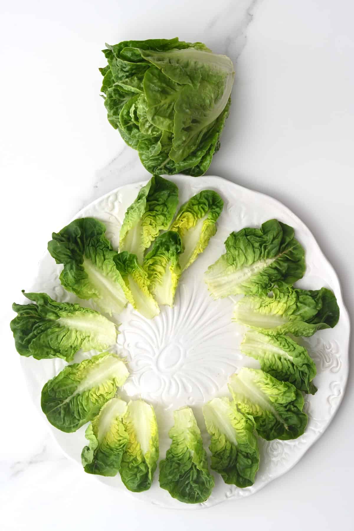 Arranging lettuce leaves on a plate