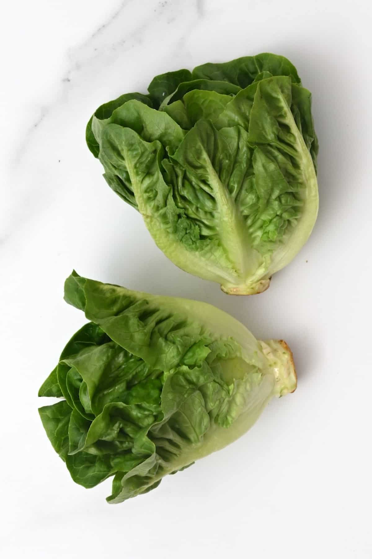Two heads of butter lettuce