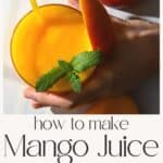 How to Make Mango Juice (Mango Nectar)