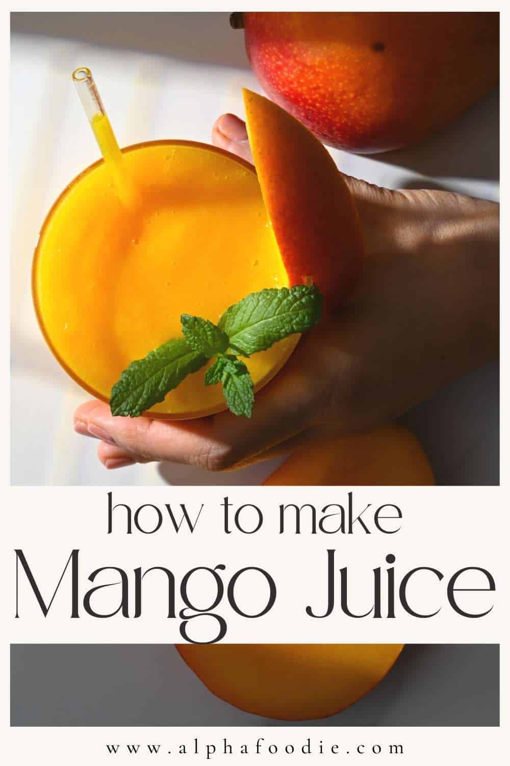 How to Make Mango Juice (Mango Nectar) Alphafoodie