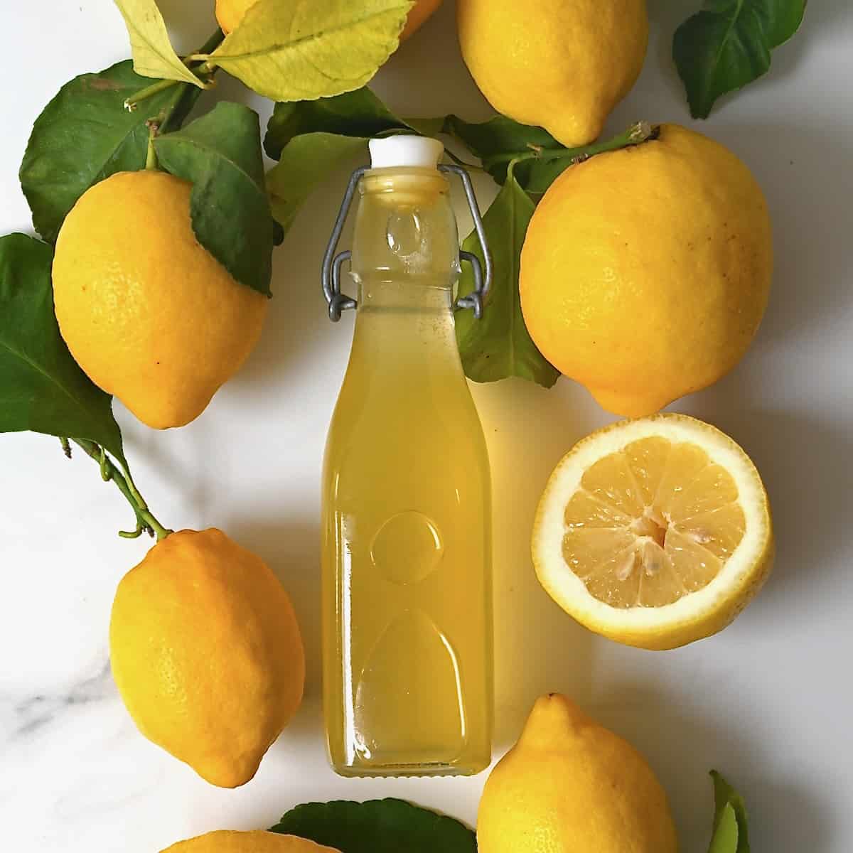 Lemon syrup in a bottle and lemons around it