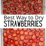 Easy Homemade Dried Strawberries