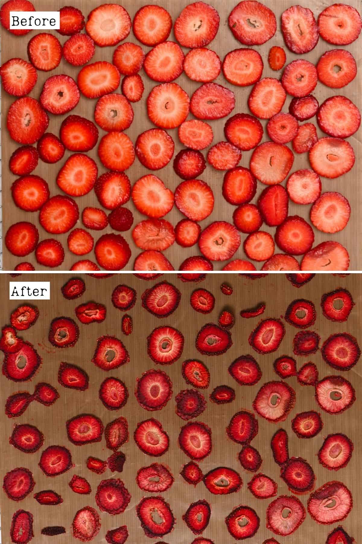 Before and after dehydrating strawberry chips