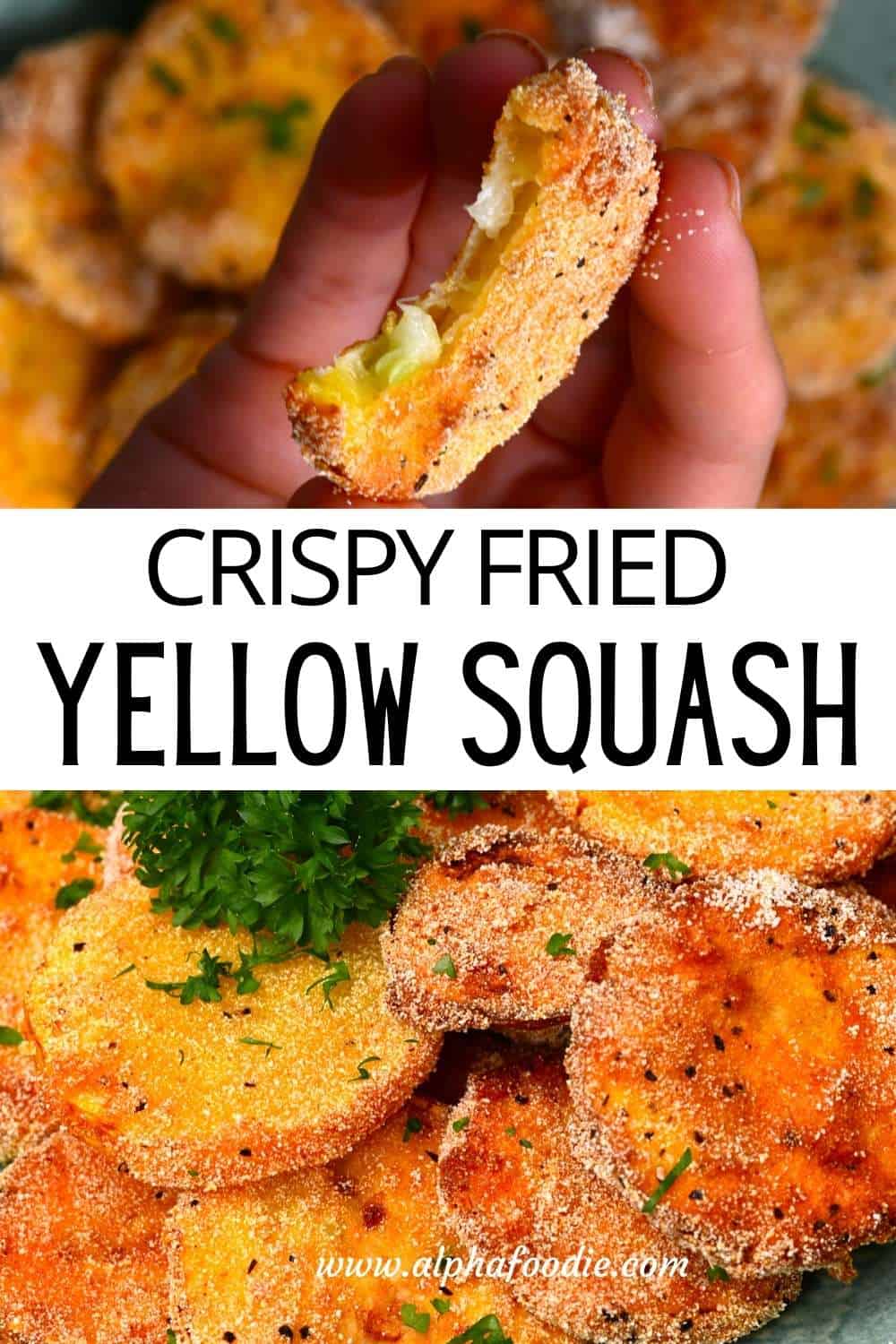 Crispy Fried Squash (or Zucchini) Alphafoodie