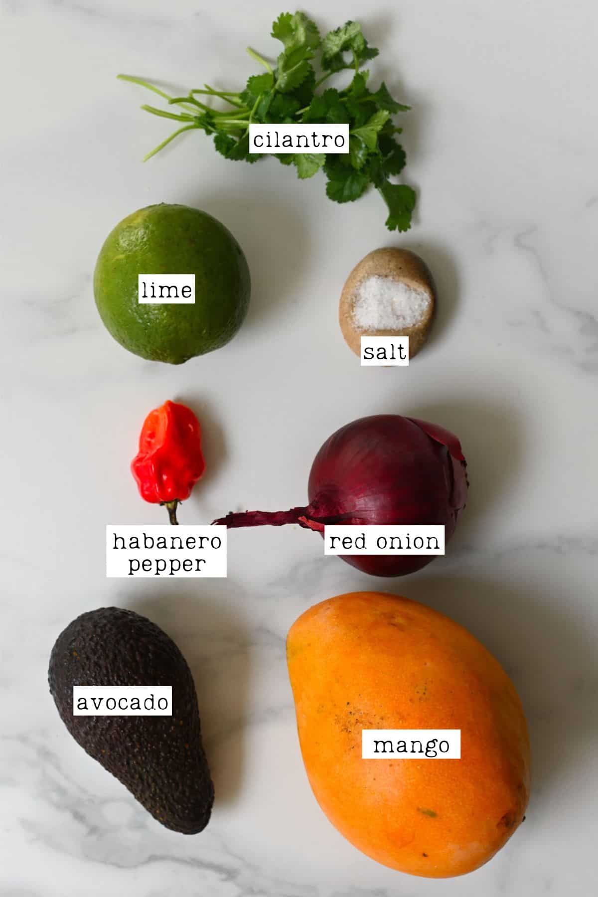 Ingredients for mango avocado salsa