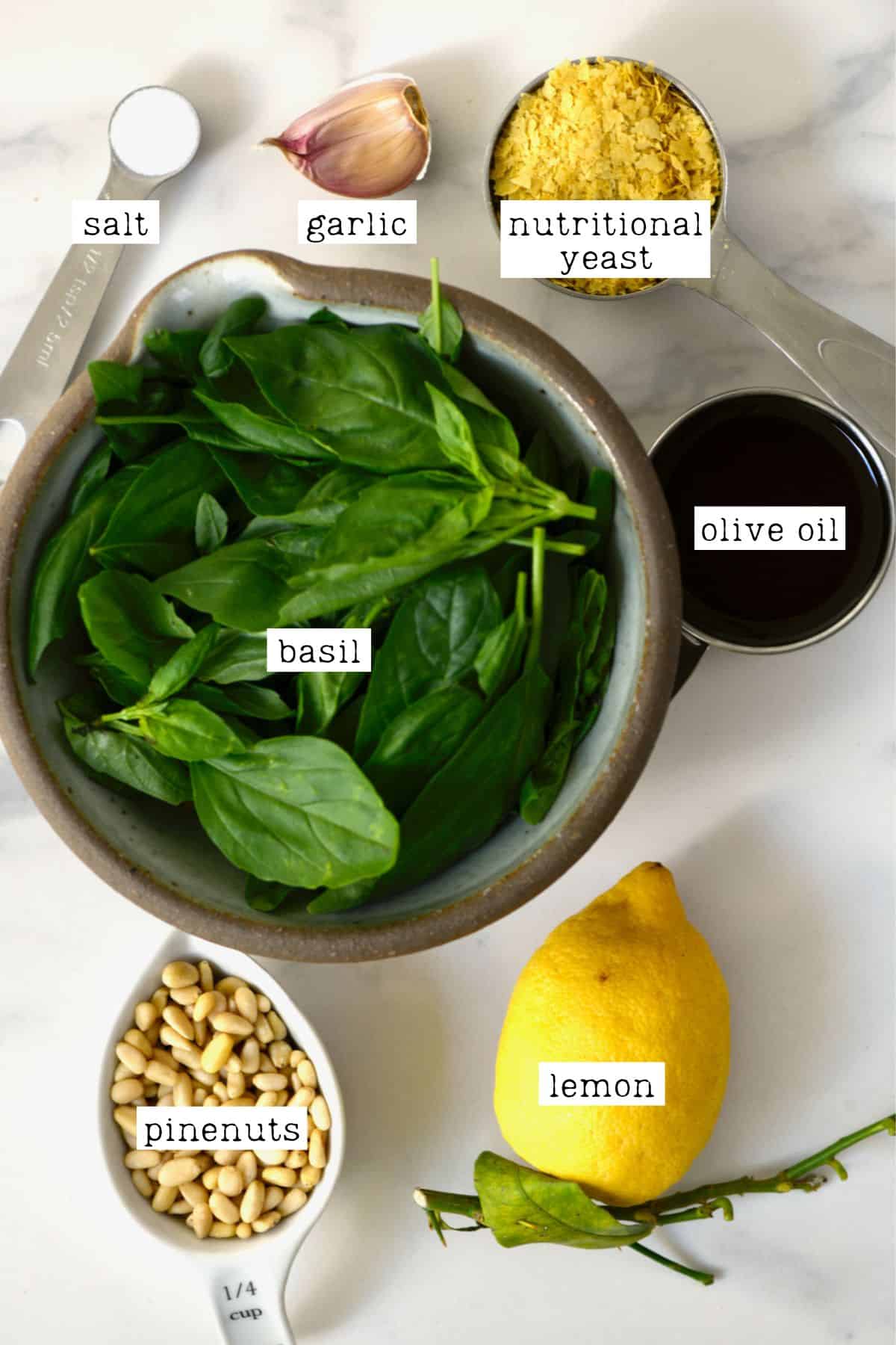Ingredients for vegan basil pesto