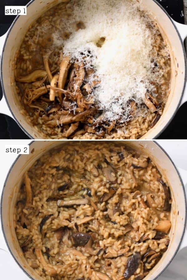 Perfect Wild Mushroom Risotto - Alphafoodie