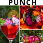 Easy Fruit Punch