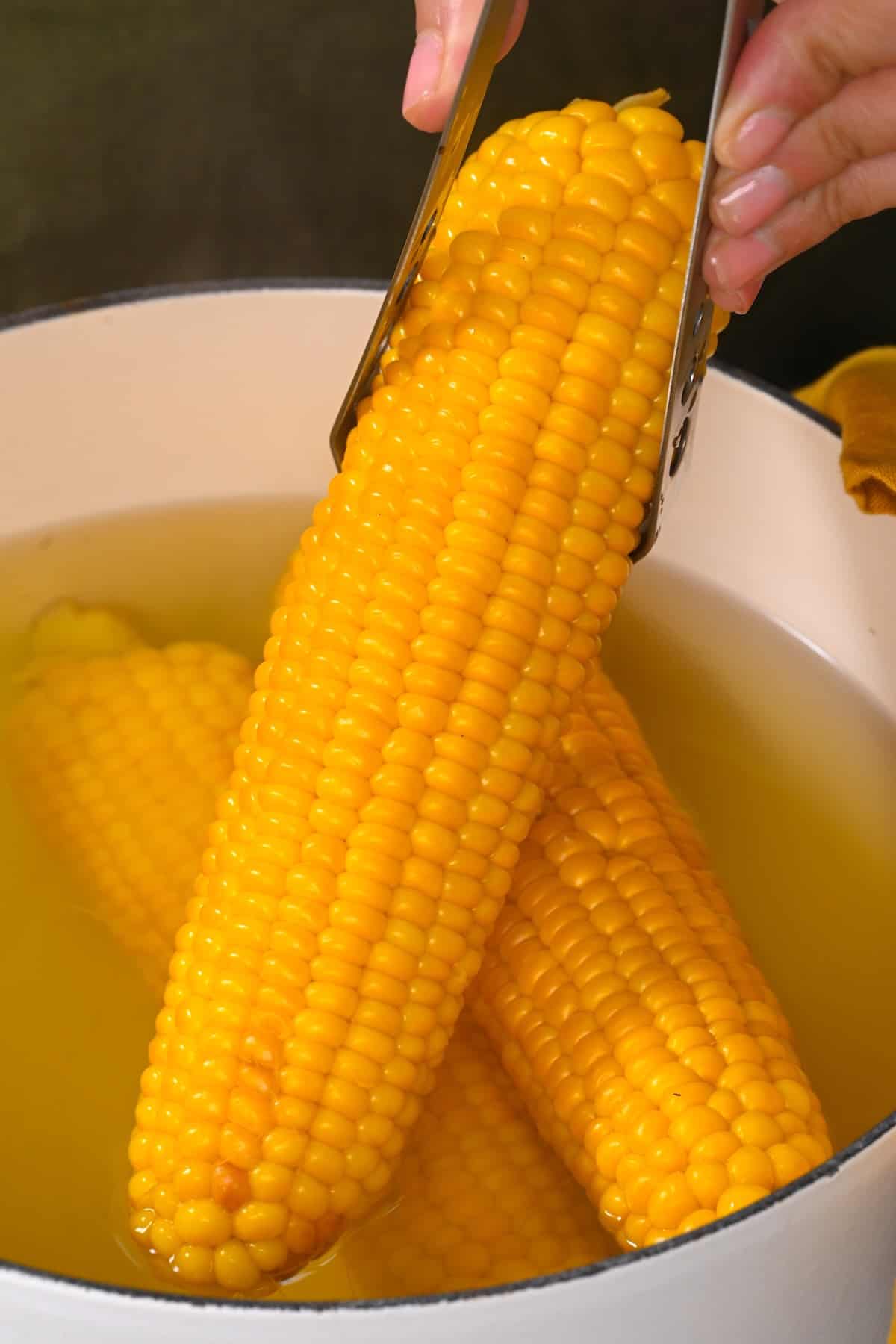 Taking out freshly boiled corn on the cob