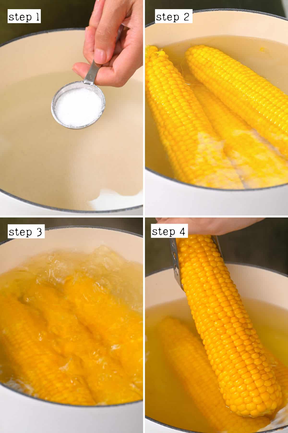 Steps for boiling corn on a cob