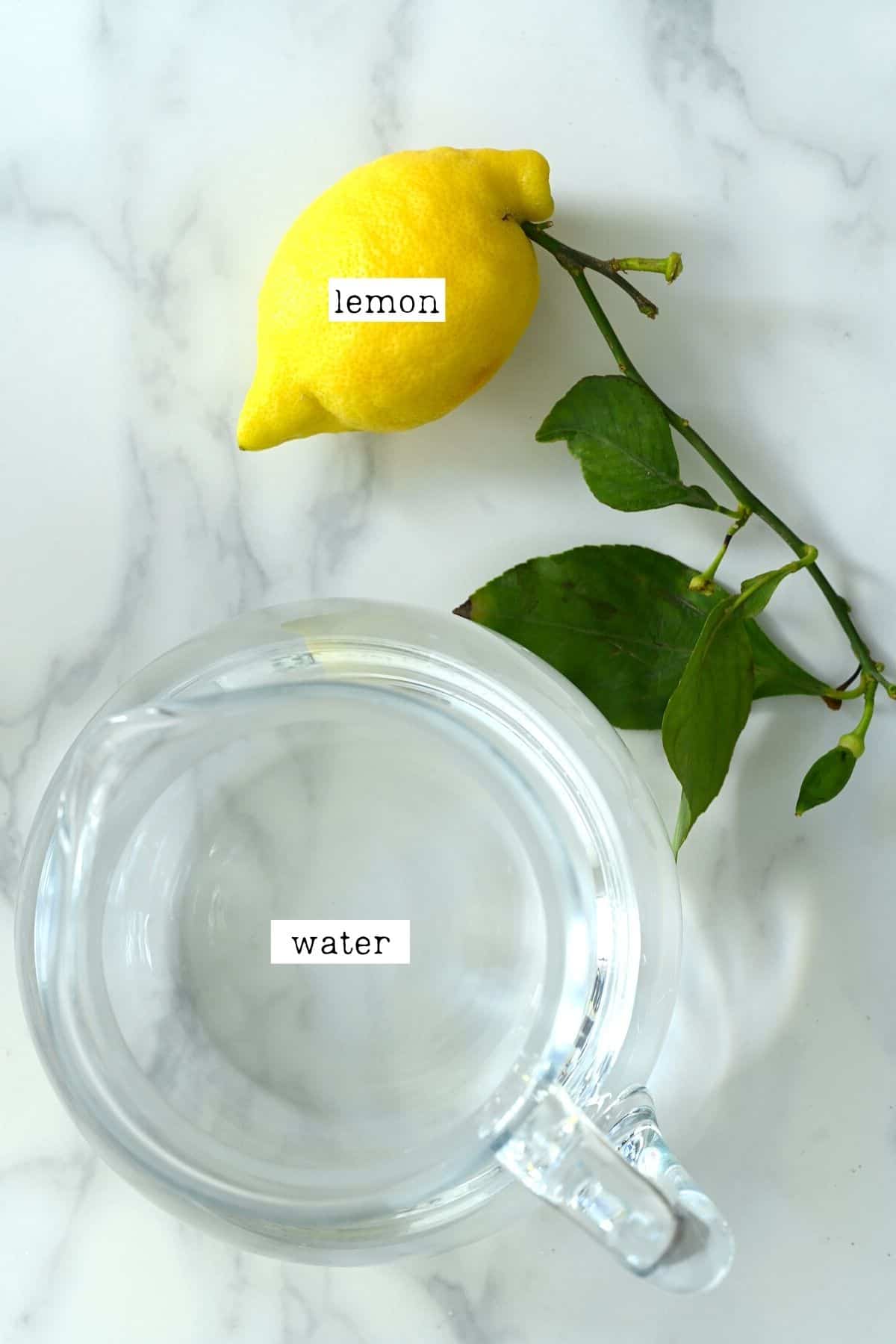 Ingredients to make lemon water