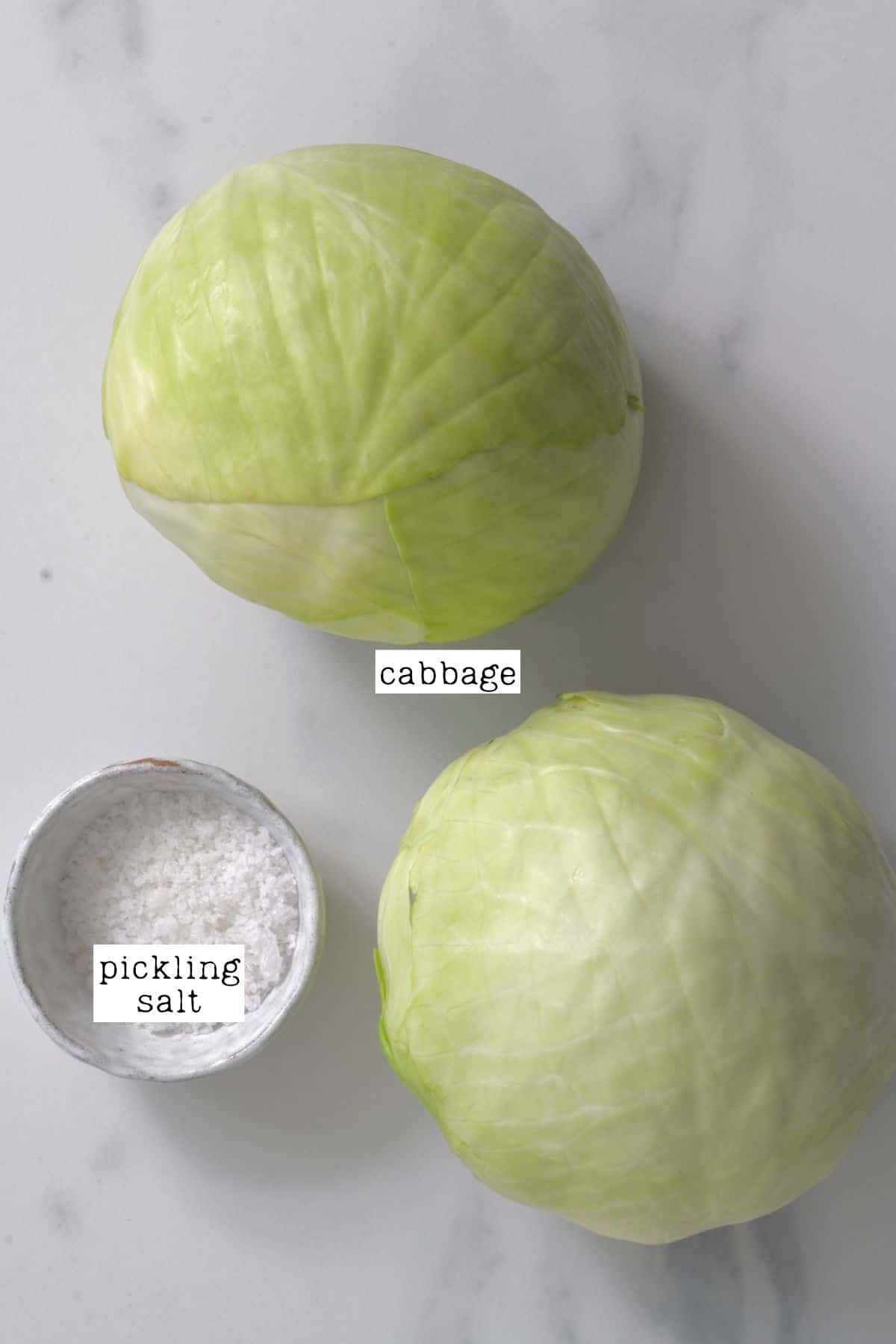 Ingredients for Sauerkraut