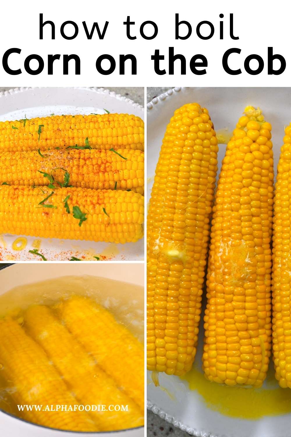 How to Boil Corn on the Cob Alphafoodie