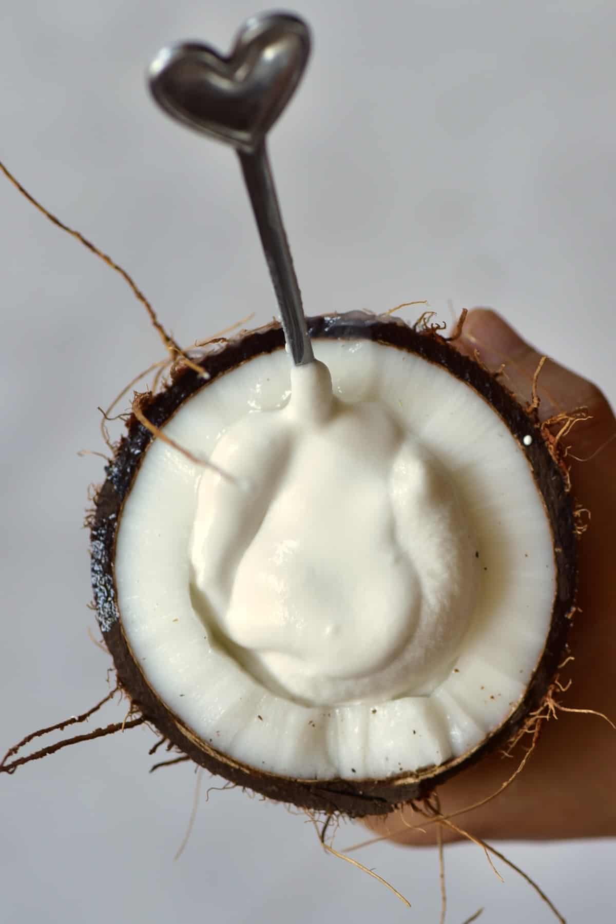 A spoonful of coconut yogurt made at home
