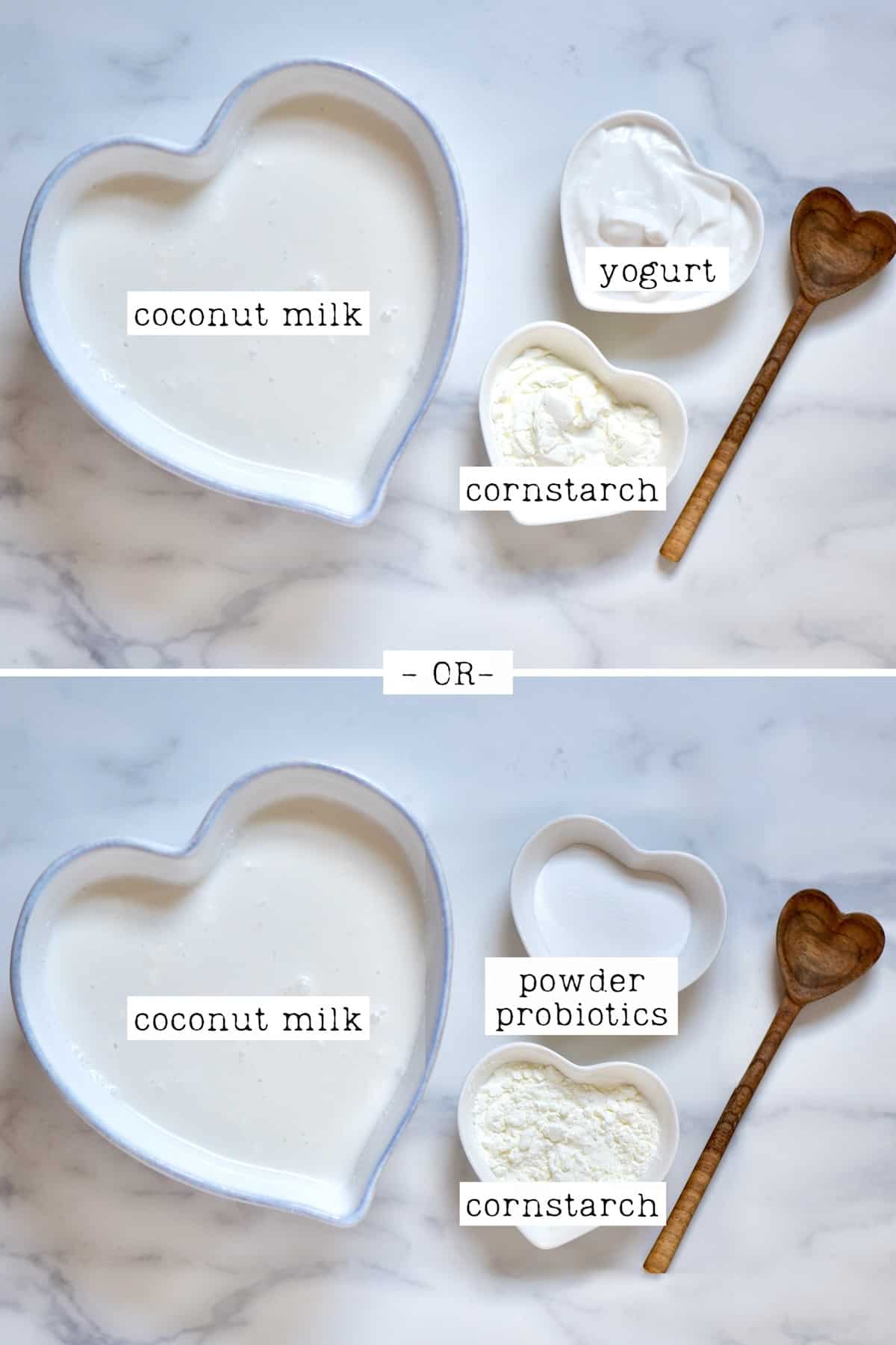 Ingredients to make coconut yogurt