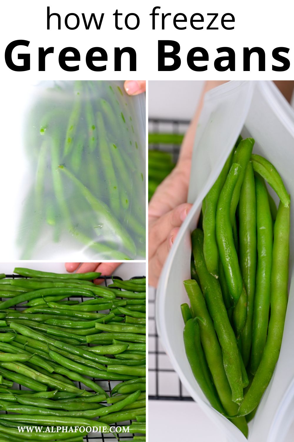 How to freeze green beans the complete guide alphafoodie