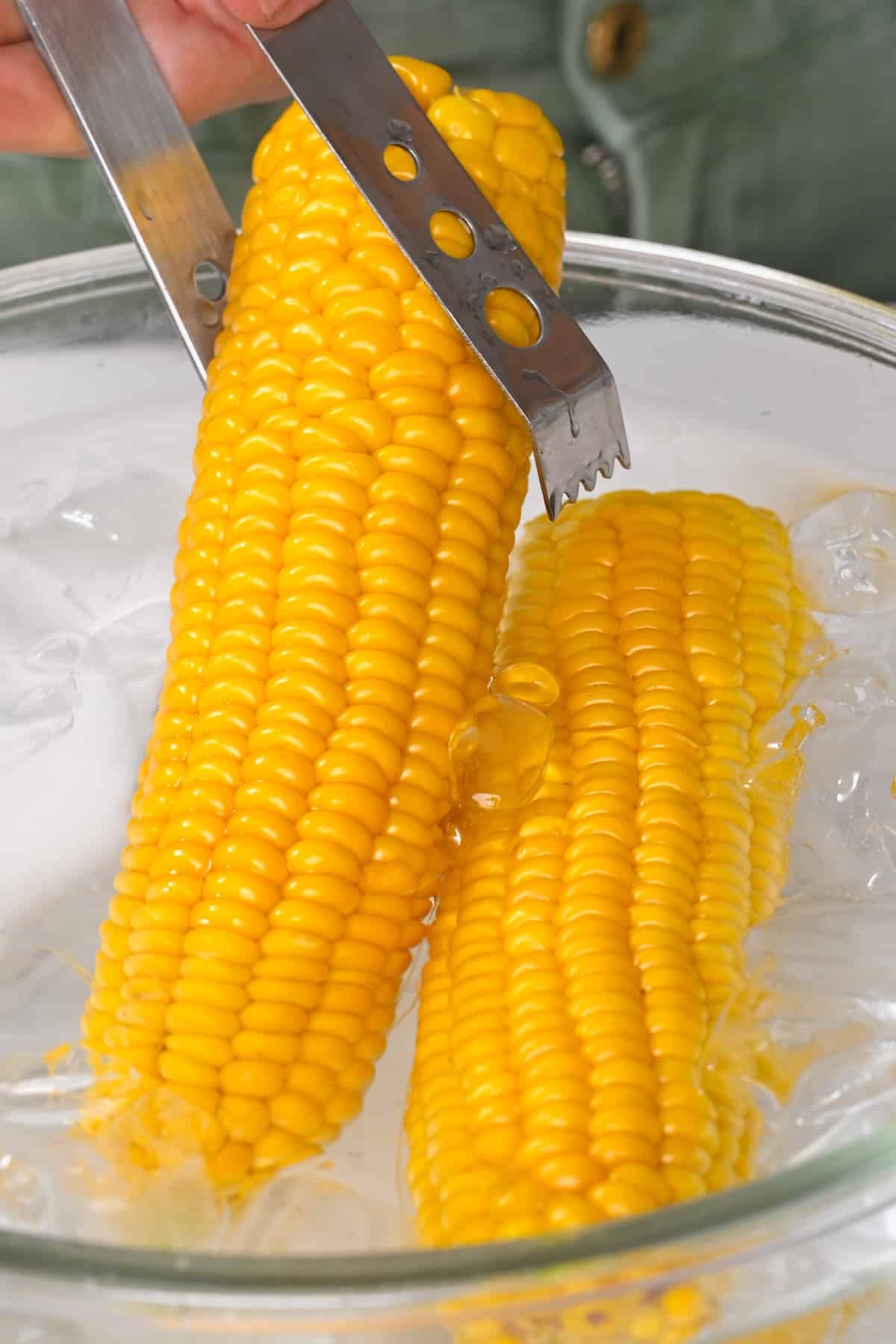 Corn on the cob in an ice bath