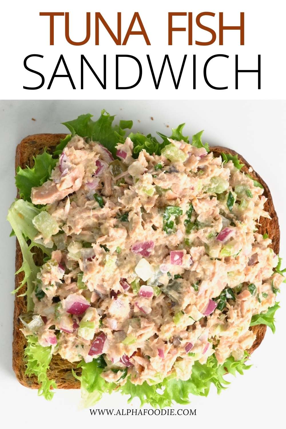 Easy Tuna Salad Recipe With Video Alphafoodie easy-tuna-salad-recipe-with-video-alphafoodie