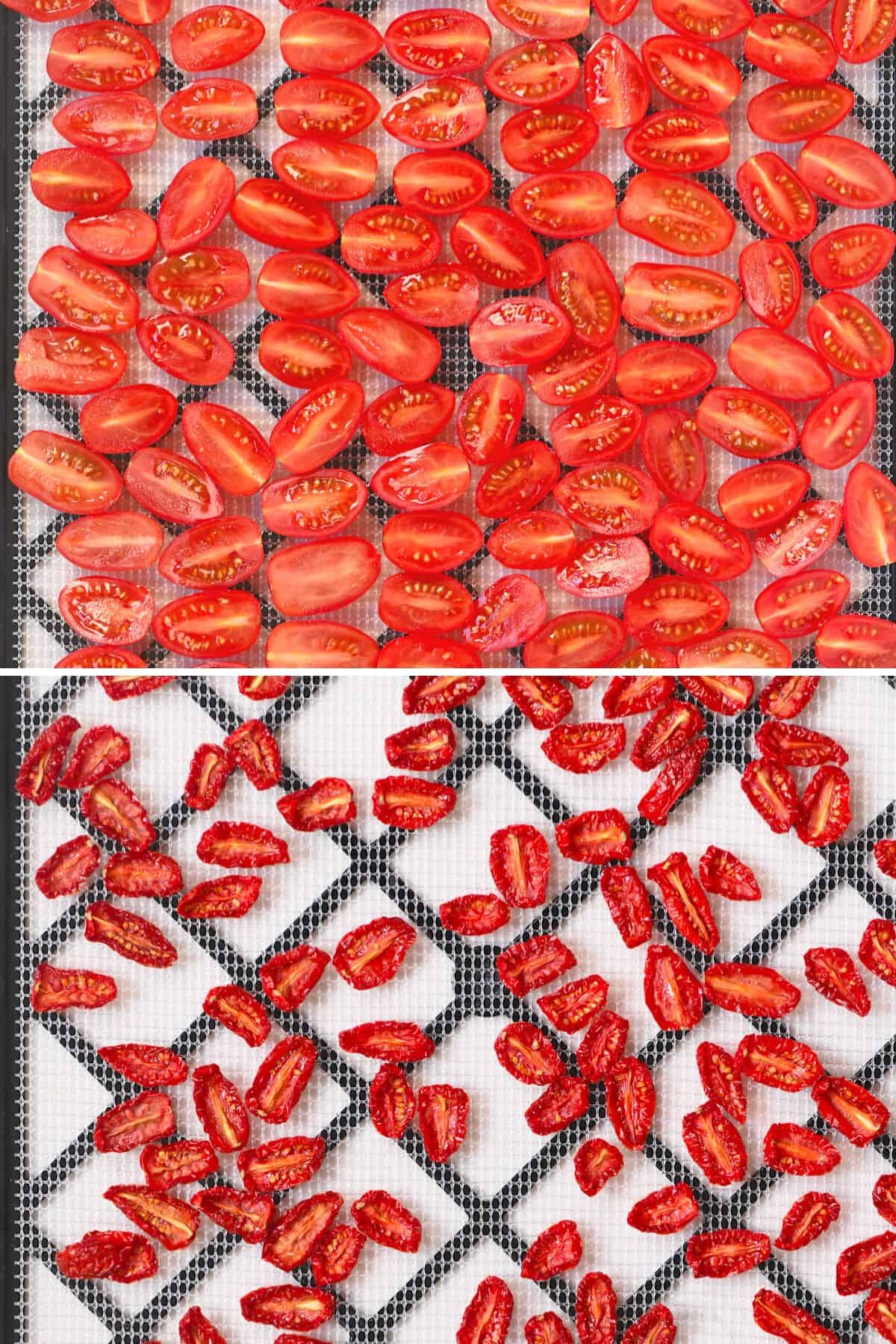 Before and after dehydrating tomatoes