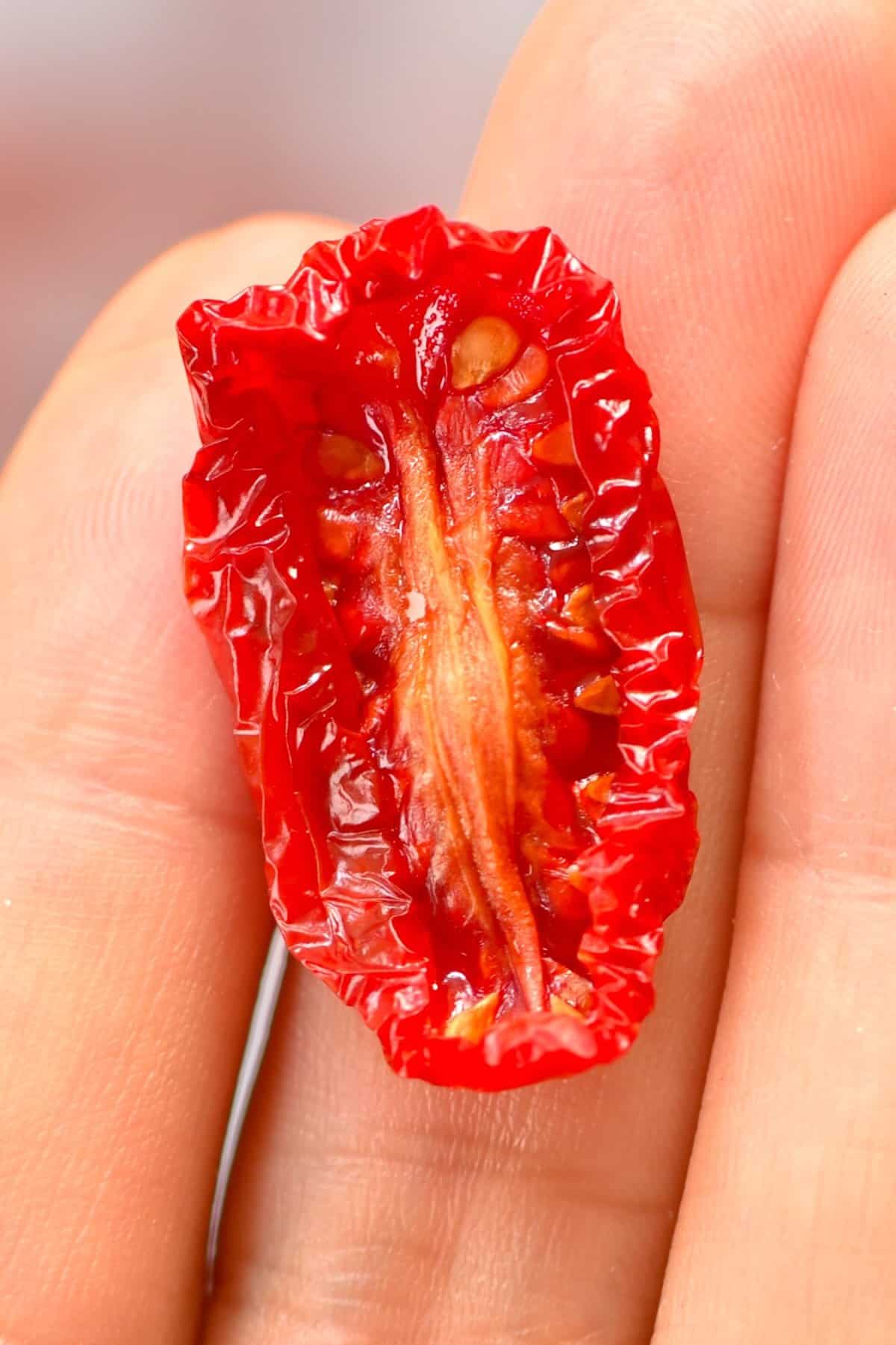 Hand holding one small dried tomato