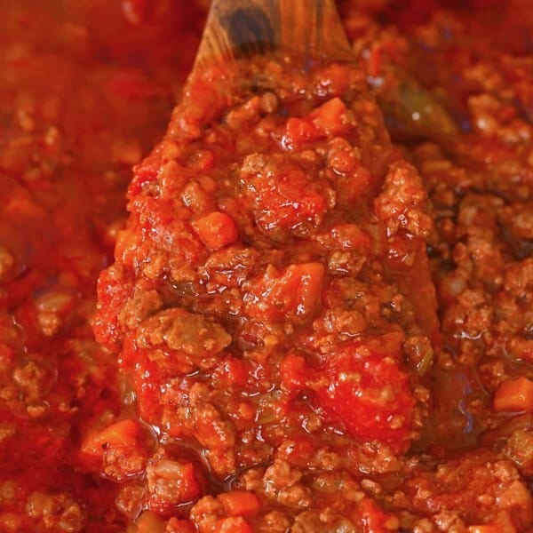 A spoonful of homemade spaghetti sauce