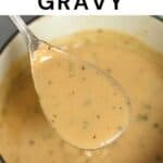 Easy Brown Gravy Recipe