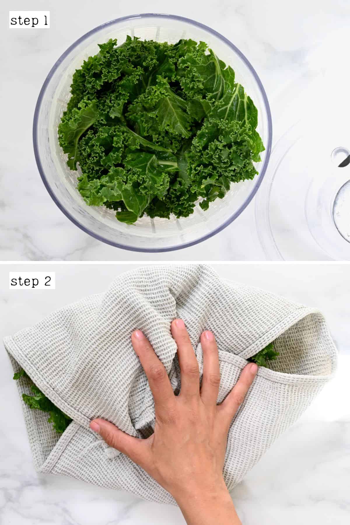 Steps for drying kale leaves