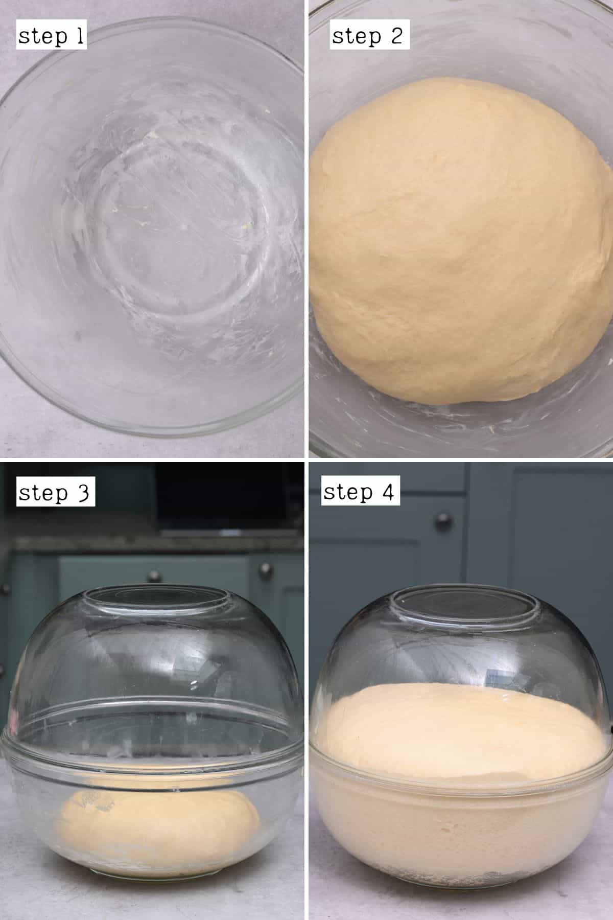 Steps for proofing dinner rolls dough