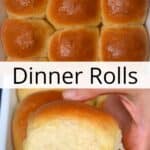 Easy Dinner Rolls Recipe