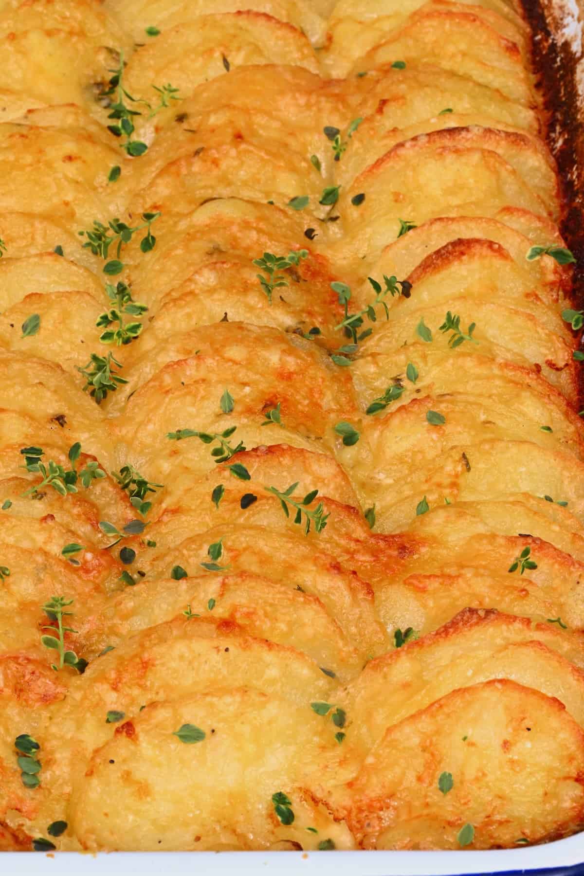 Freshly baked potatoes au gratin