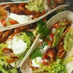 Easy Shredded Chicken Tacos Recipe