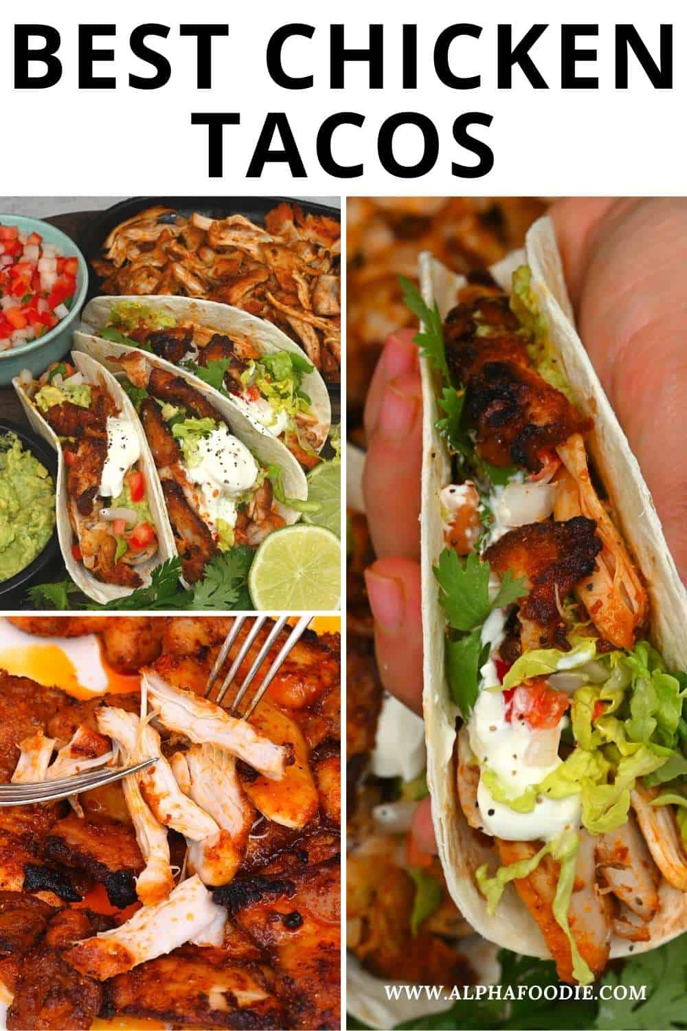 Easy Shredded Chicken Tacos - Alphafoodie