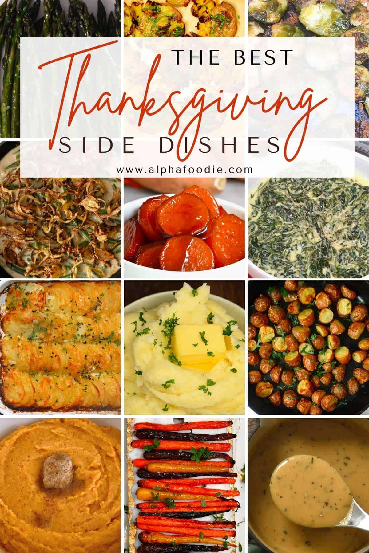 30+ Best Thanksgiving Dinner Ideas - Alphafoodie