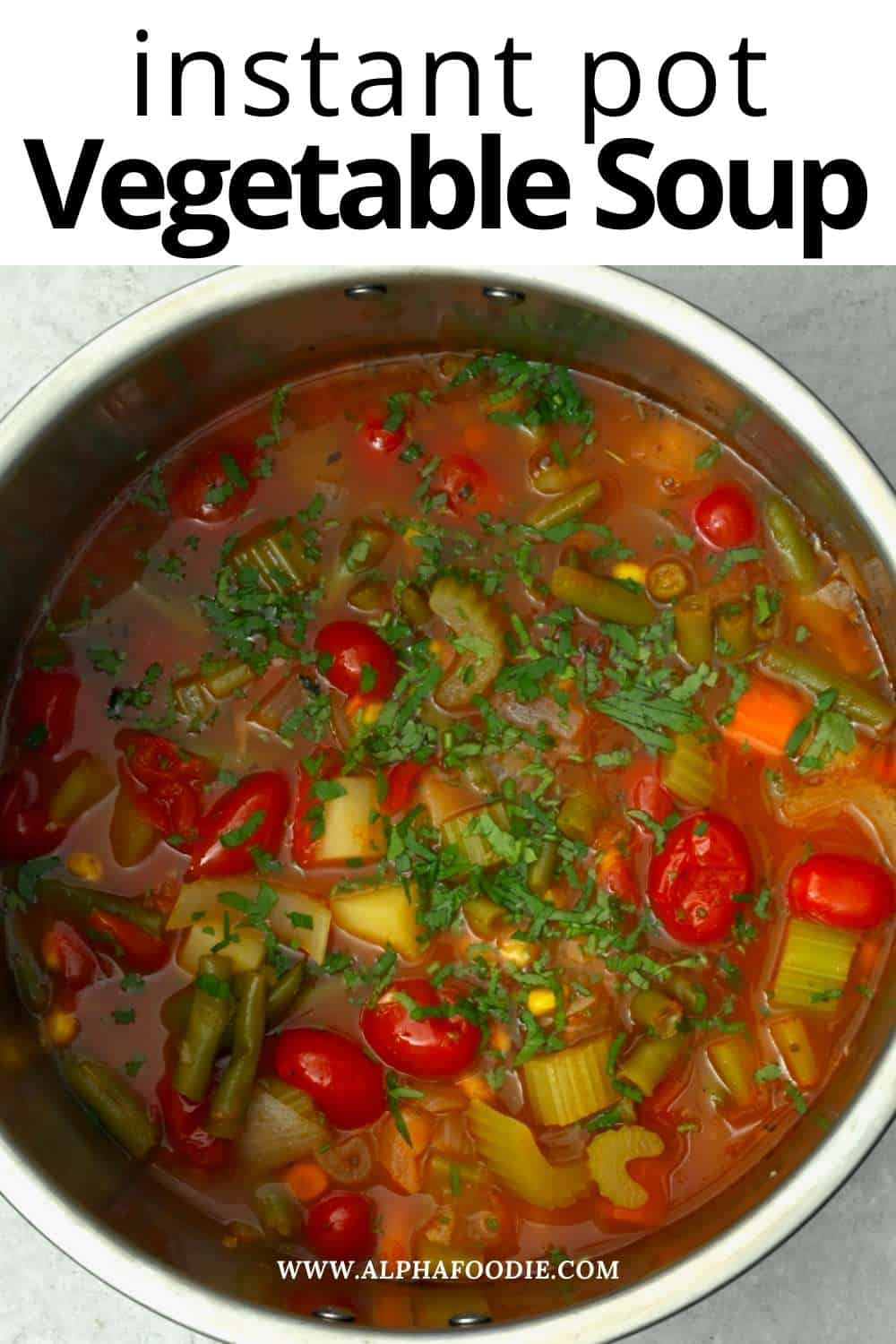 The Best Instant Pot Vegetable Soup - Alphafoodie
