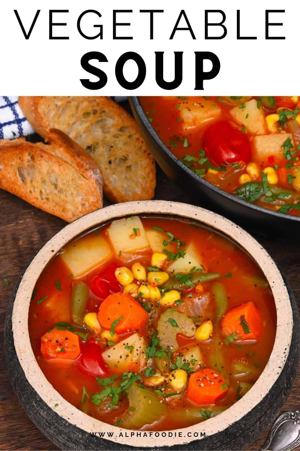 The Best Instant Pot Vegetable Soup - Alphafoodie