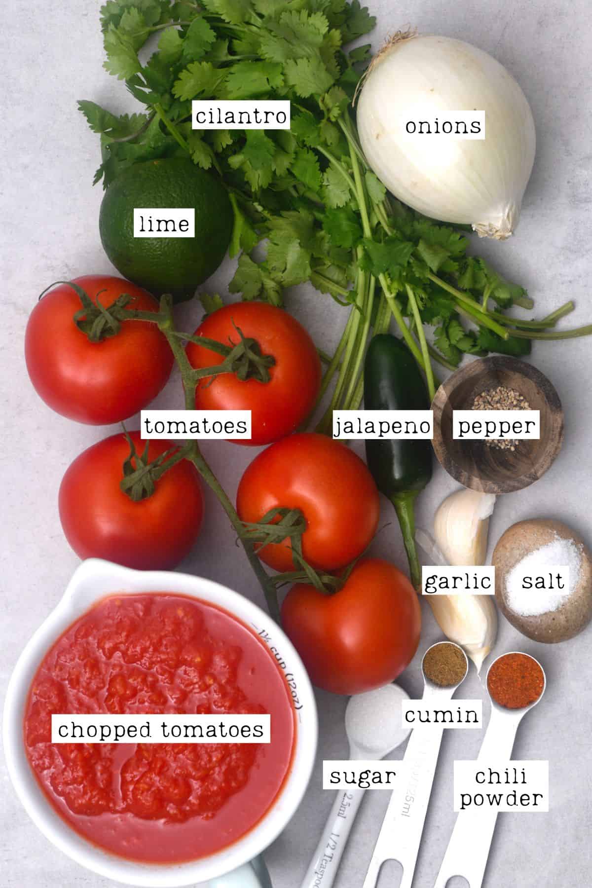Ingredients for homemade salsa
