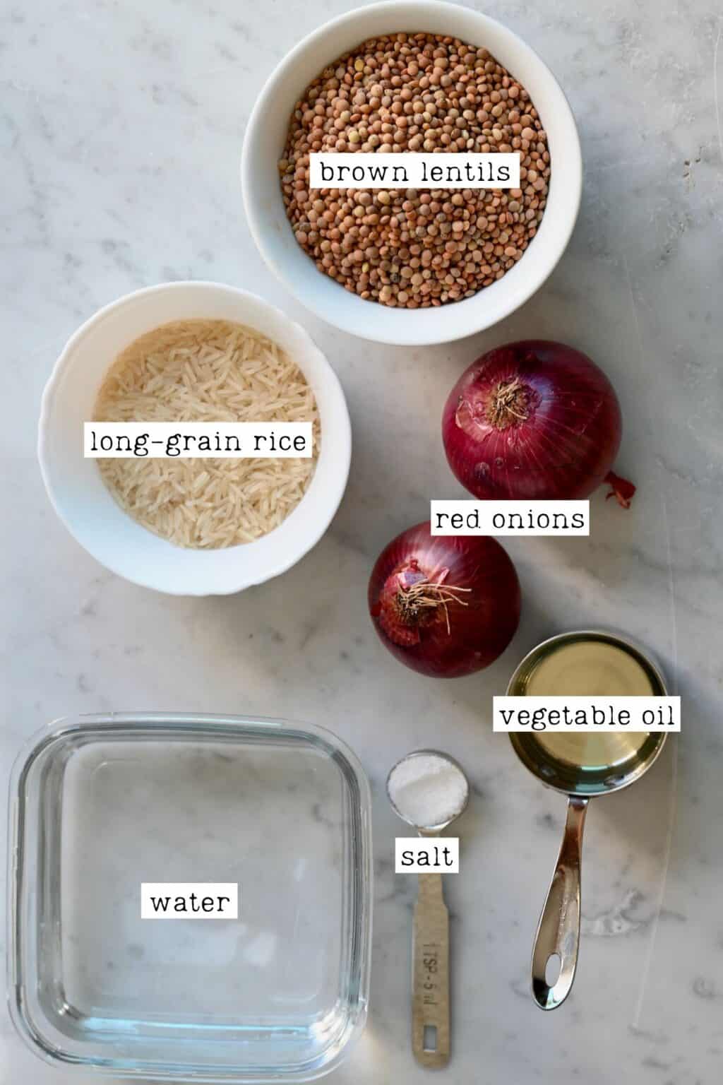 Mujadara Lentils and Rice with Crispy Onions Alphafoodie