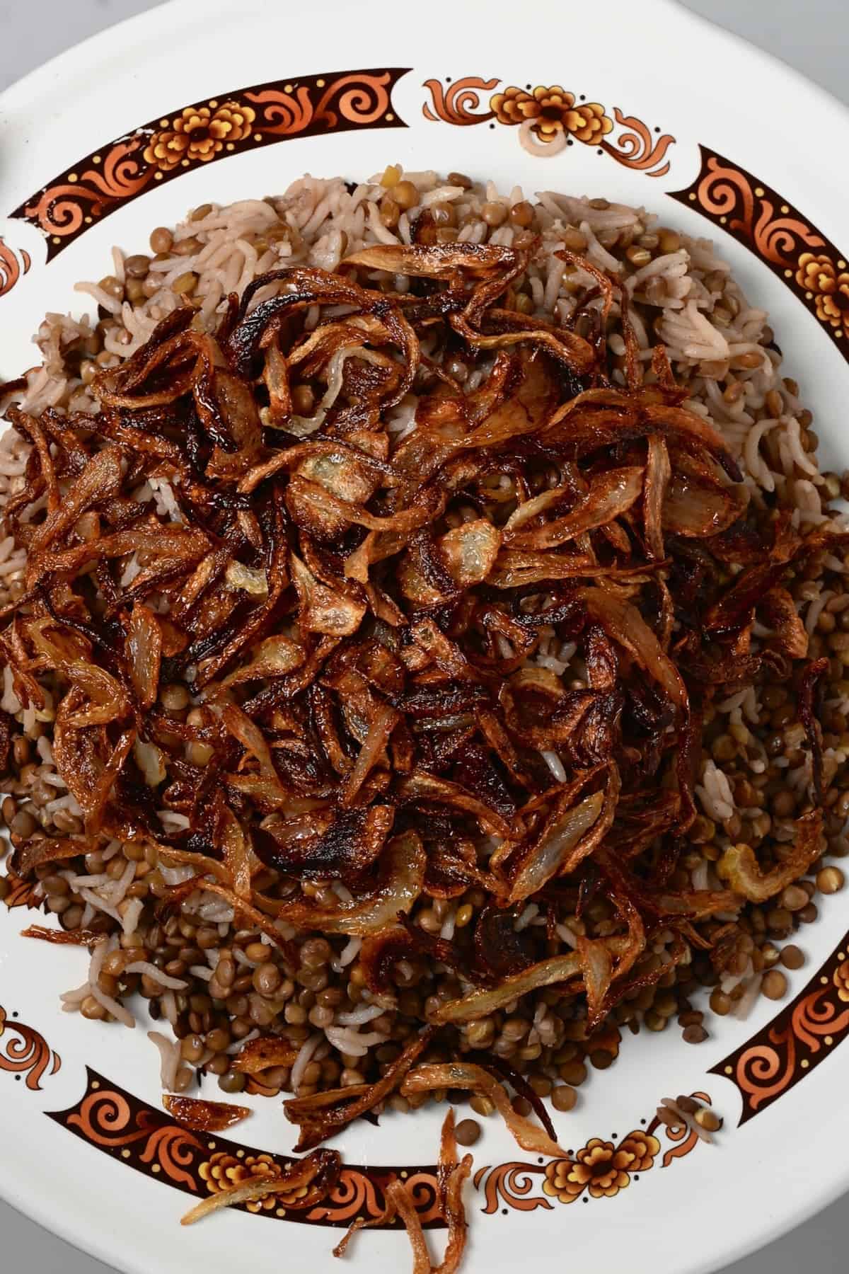 Mujadara Lentils and Rice topped with cripsy onions